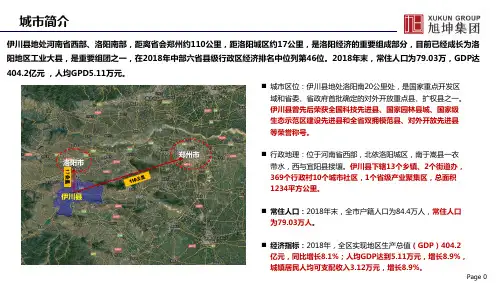 伊川县市场研究报告