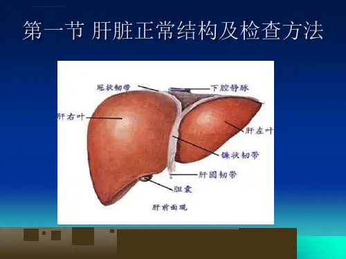 超声检查肝脏-PPT课件.ppt