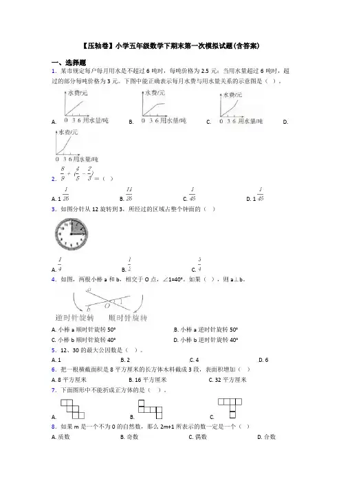 【压轴卷】小学五年级数学下期末第一次模拟试题(含答案)