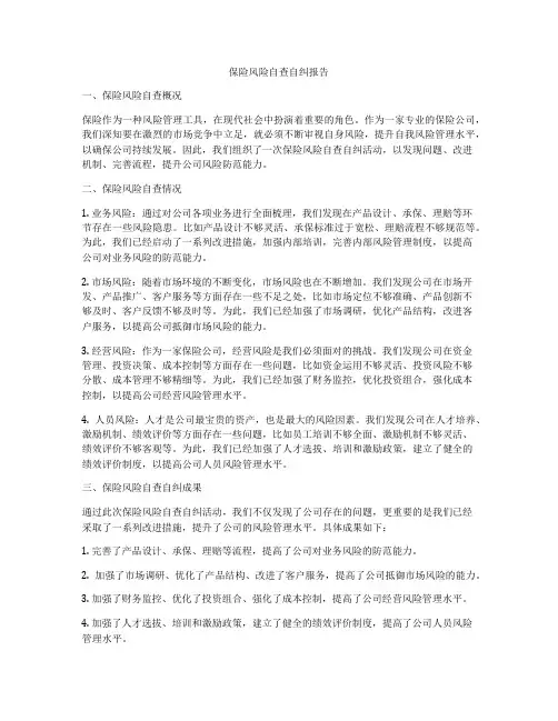 保险风险自查自纠报告