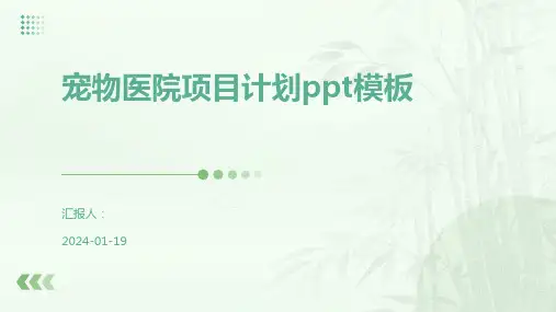 宠物医院项目计划ppt模板