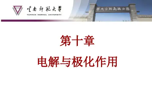 第十章：电解与极化