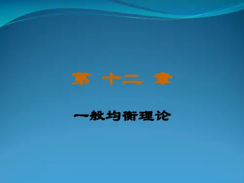 一般均衡理论分析