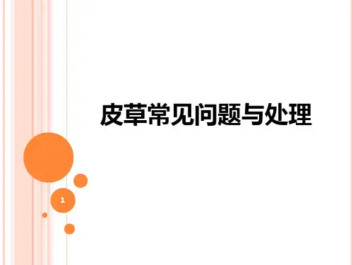 皮草常见的问题与处理PPT课件