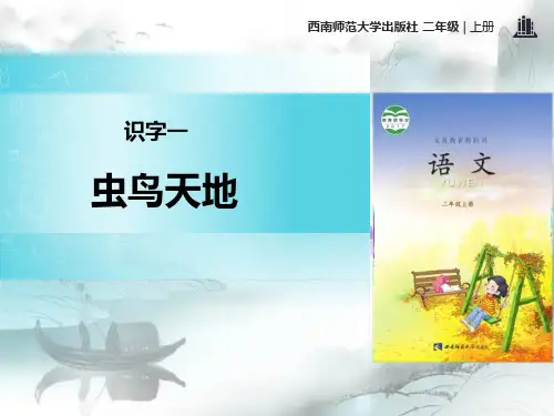 《虫鸟天地》PPT演示课件