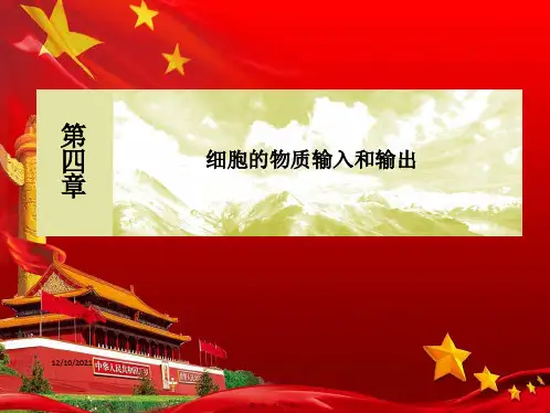 高中生物 第4章 细胞的物质输入和输出 41 被动运输课件高一必修1生物课件