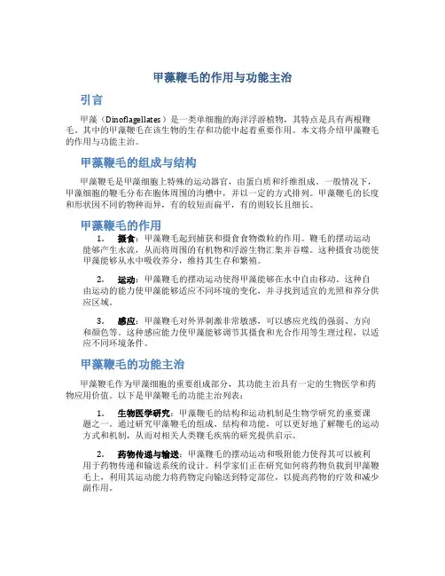 甲藻鞭毛的作用与功能主治