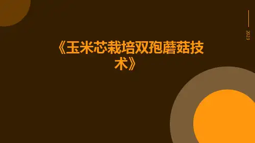 玉米芯栽培双孢蘑菇技术
