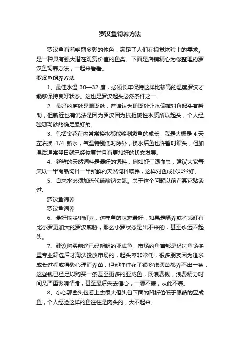 罗汉鱼饲养方法
