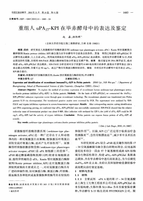 重组人uPA_(17)-KPI在毕赤酵母中的表达及鉴定
