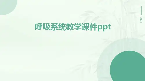 呼吸系统教学课件ppt