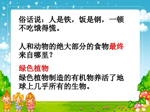 绿色植物通过光合作用制造有机物PPT课件