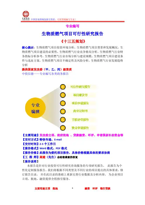 生物质燃气项目可行性研究报告