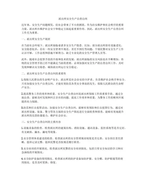 派出所安全生产自查自纠