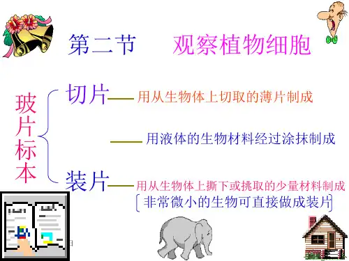 第二节 观察植物细胞PPT课件