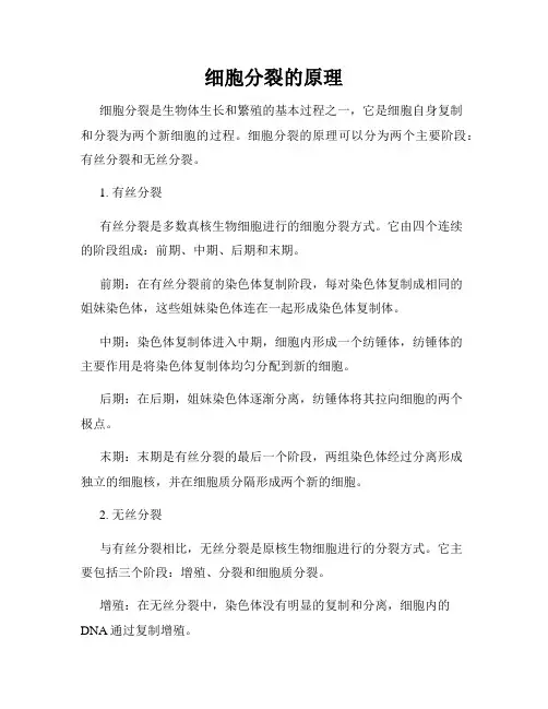 细胞分裂的原理