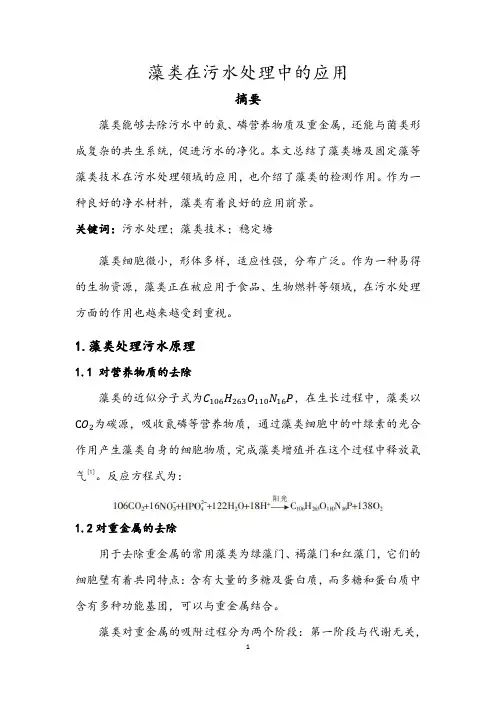 藻类在污水处理中的应用