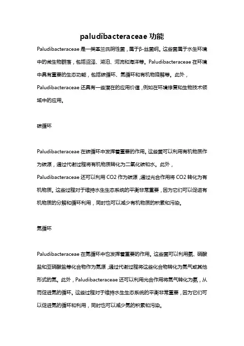 paludibacteraceae功能