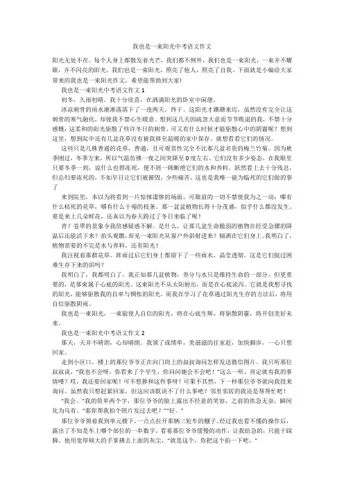 我也是一束阳光中考语文作文