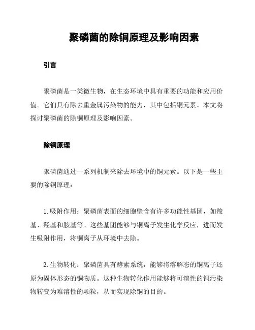 聚磷菌的除铜原理及影响因素