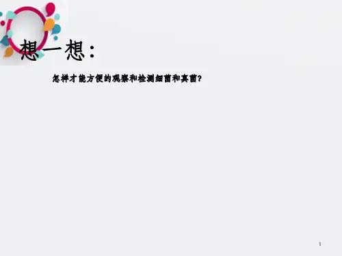 怎样才能方便的观察和检测细菌和真菌_OK