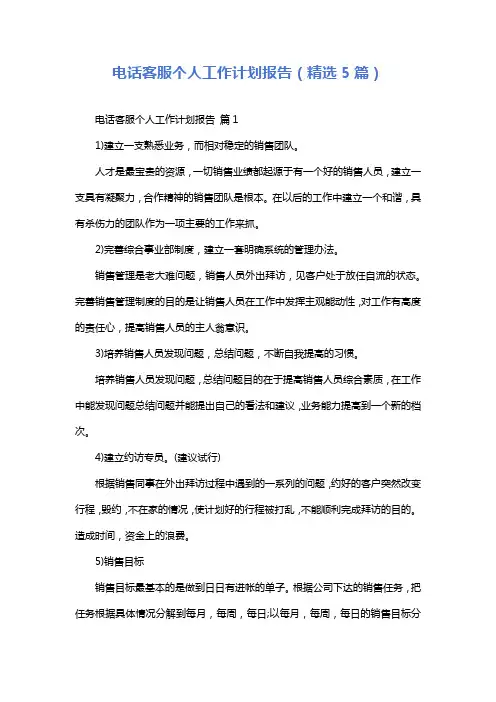 电话客服个人工作计划报告(精选5篇)