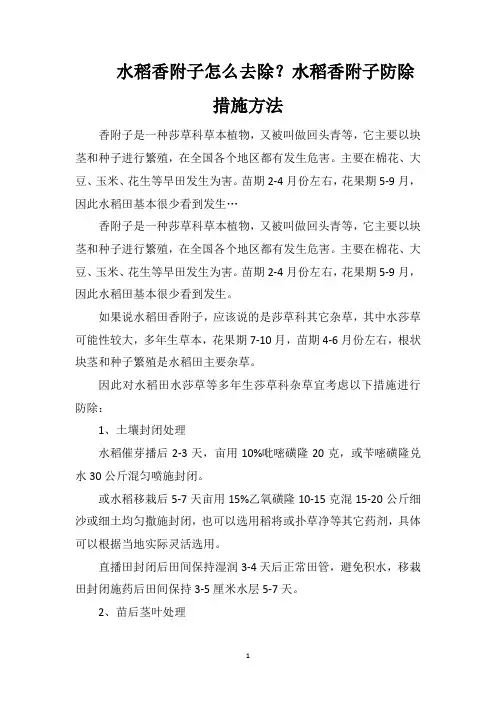 水稻香附子怎么去除？水稻香附子防除措施方法