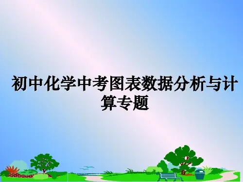 最新初中化学中考图表数据分析与计算专题课件ppt