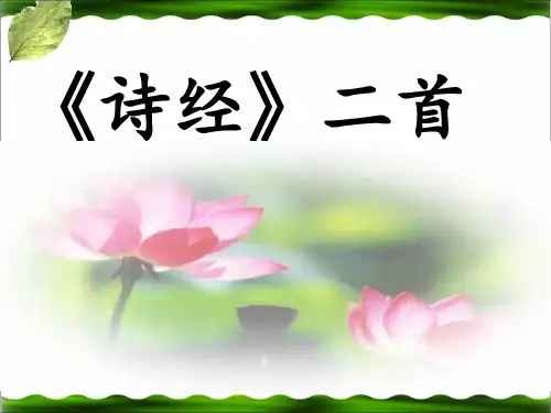 《诗经》两首优秀 ppt课件