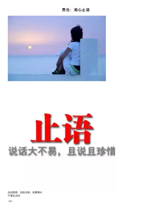 贾也：观心止语