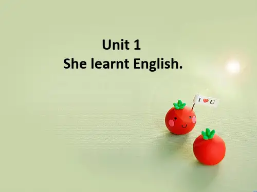 五年级下册英语优质课件-Unit 1She learnt English外研社(三起)