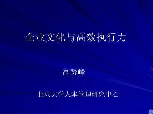 企业文化与高效执行力讲义.pptx