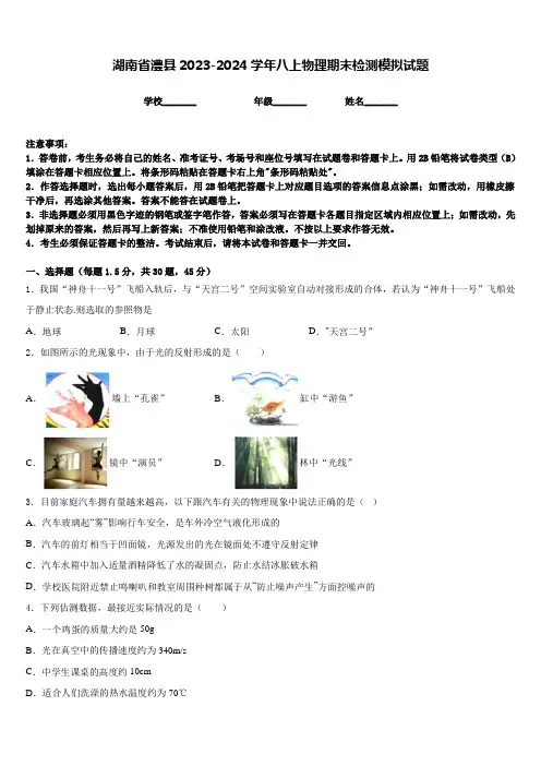 湖南省澧县2023-2024学年八上物理期末检测模拟试题含答案
