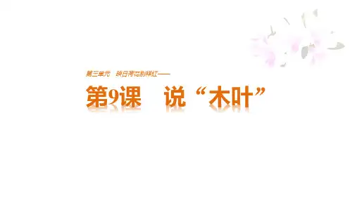 第9课说“木叶”教学PPT课件(人教版(新课程标准))