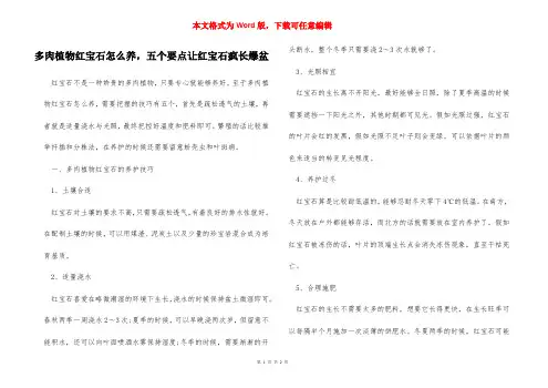 多肉植物红宝石怎么养,五个要点让红宝石疯长爆盆