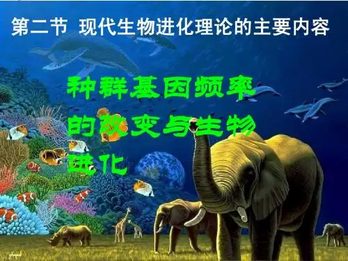 基因频率(1)