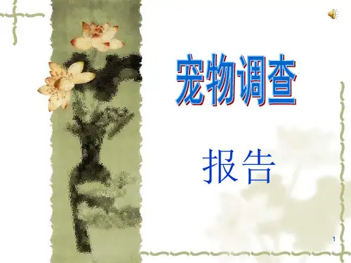 宠物调查报告ppt课件