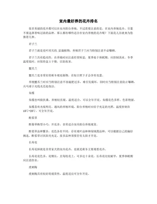 室内最好养的花卉排名