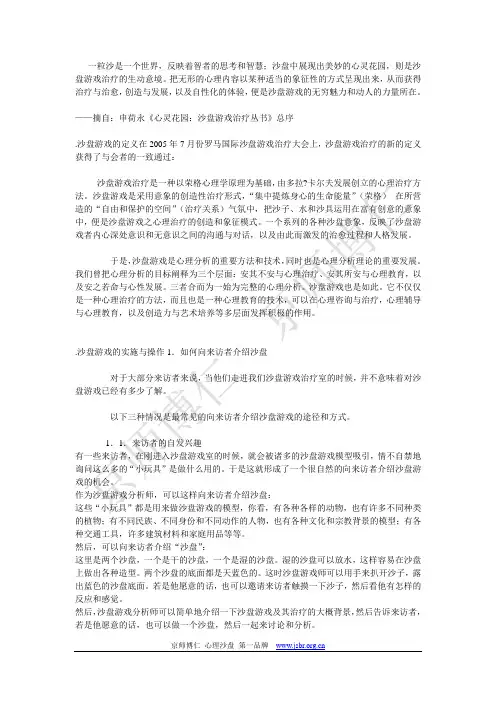 沙盘游戏-申荷永著