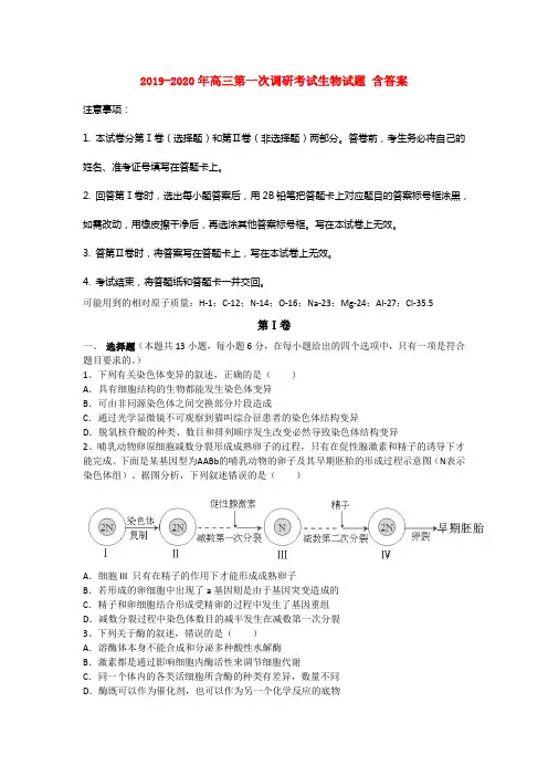 2019-2020年高三第一次调研考试生物试题 含答案