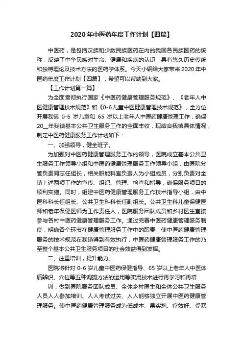 2020年中医药年度工作计划【四篇】