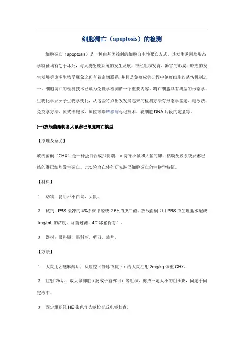 细胞凋亡(apoptosis)的检测