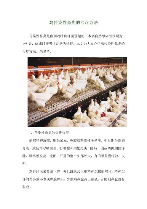 鸡传染性鼻炎的治疗方法