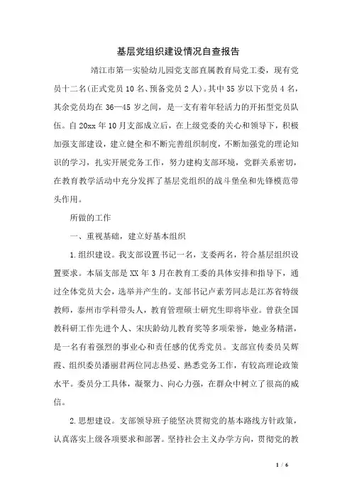 基层党组织建设情况自查报告