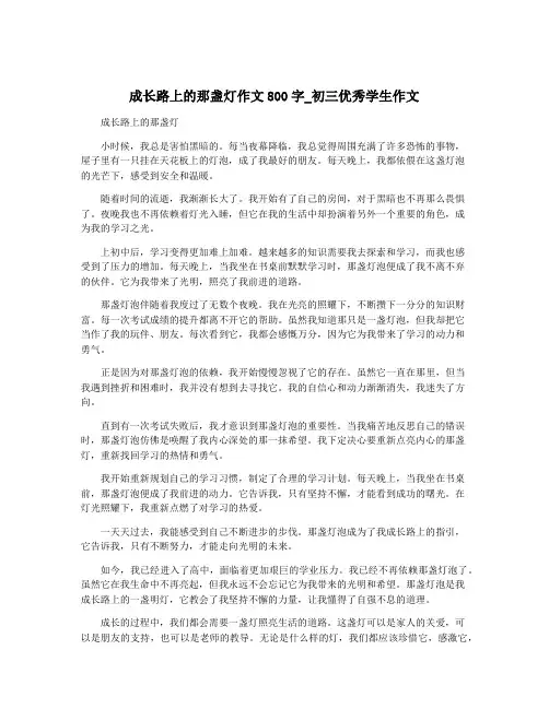成长路上的那盏灯作文800字_初三优秀学生作文