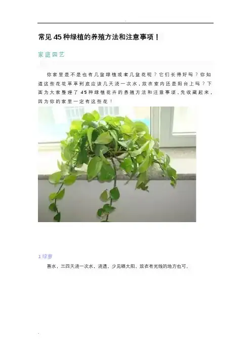 常见45种绿植的养殖方法和注意事项