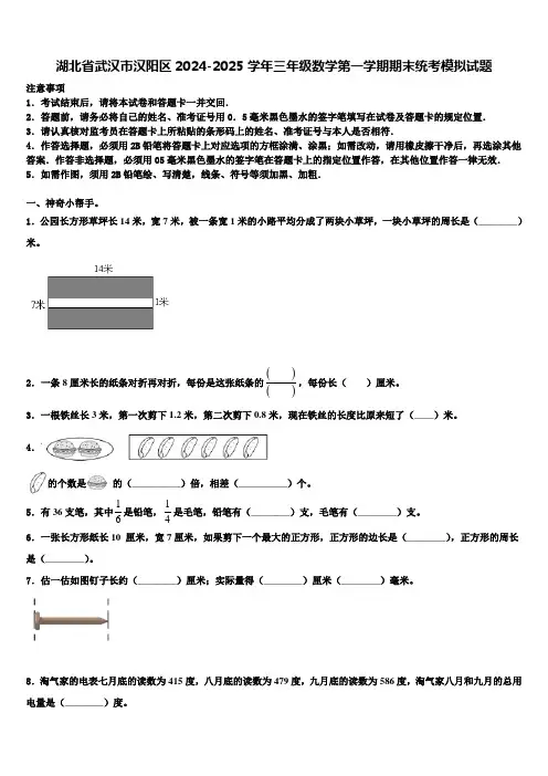 湖北省武汉市汉阳区2024-2025学年三年级数学第一学期期末统考模拟试题含解析