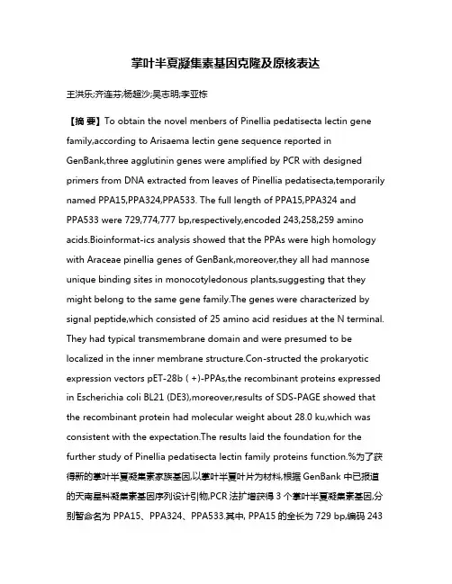 掌叶半夏凝集素基因克隆及原核表达
