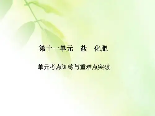 九年级化学第十一单元考点训练与重难点突破
