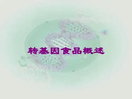 转基因食品概述课件